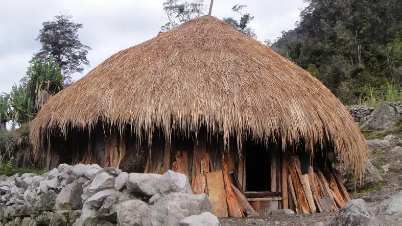 Mengenal Rumah Adat Papua: Keunikan, Jenis, dan Filosofi di Baliknya