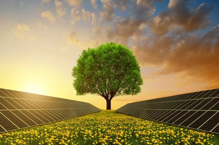 Membangun Lingkungan Ramah Bumi: Tips Praktis untuk Rumah Hemat Energi