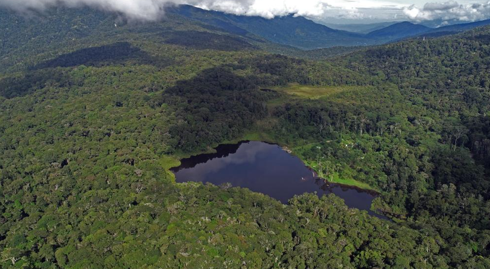 Menghentikan Deforestasi: Langkah-Langkah Nyata untuk Memperkuat Perlindungan Hutan Tropis