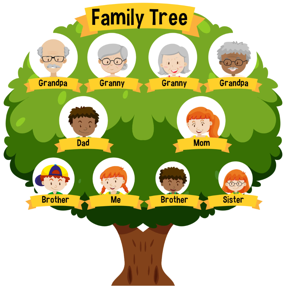 Menyusun Silsilah Keluarga Besar: Pentingnya, Contoh, dan Fungsinya dalam Menjaga Warisan Lingkungan
